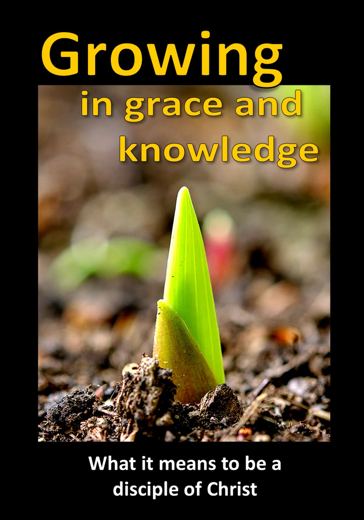 Growing in Grace and Knowledge